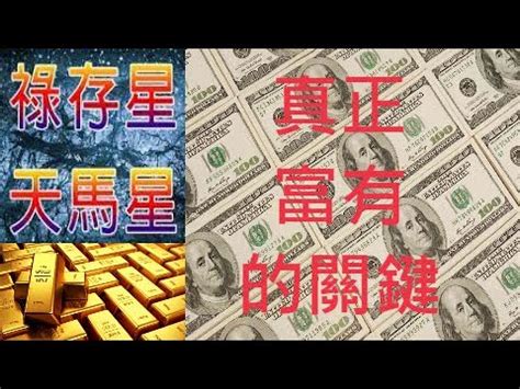 龜卦準嗎|龜卦